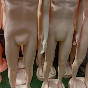 Male Mannequin